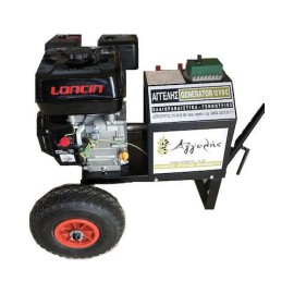 Γεννήτρια Ελαιοραβδιστικών Αγγελής 12-30V με Κινητήρα 5.5 Hp Loncin G200F/P