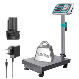 Ηλεκτρονική Ζυγαριά Ρεύματος και Μπαταρίας 12V 100kg Total (TES1245)