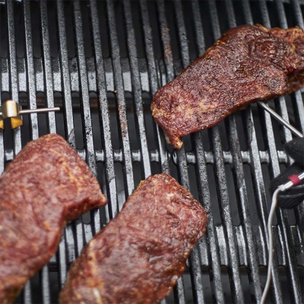 Weber Φορητή Ψησταριά Υγραερίου Q2200 Black (54010029)